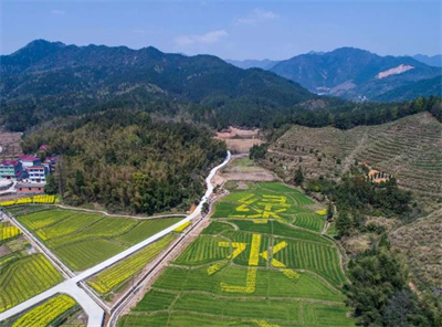 土壤污染物質及發生主要類型有哪些空調一直嗡嗡響噪音老大咋處理啊