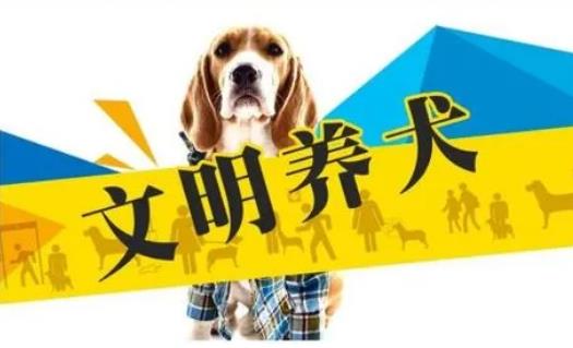 2023年3月1日起施行！《黃石市養犬管理條例》來(lái)了